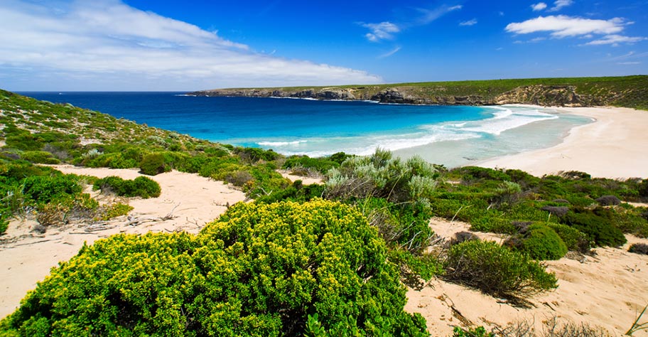 Badeferien kangaroo island nicht holidaycheck