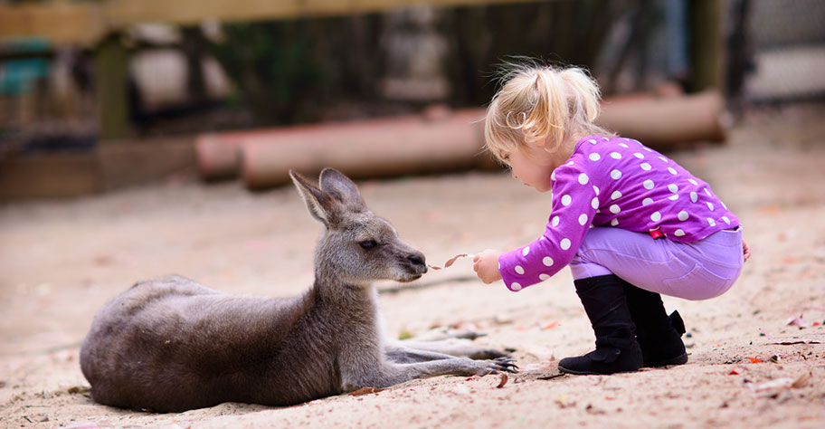 Australien Reisen mit Kindern günstig nicht Kuoni