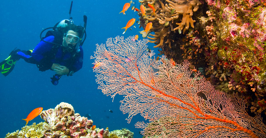 Tauchen Australien Korallenriff nicht Kuoni