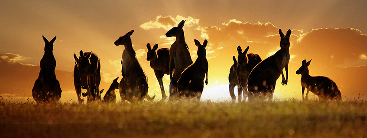 Australien Reisen